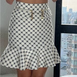 ELISABETTA FRANCHI skirt